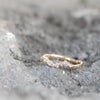 Salt and Pepper Diamond【Amie】Ring, Double Wave
